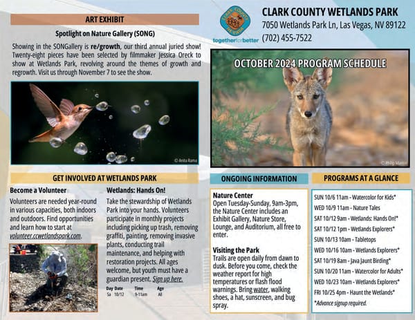 Clark County Parks and Recreation Catalog Fall - Page 84